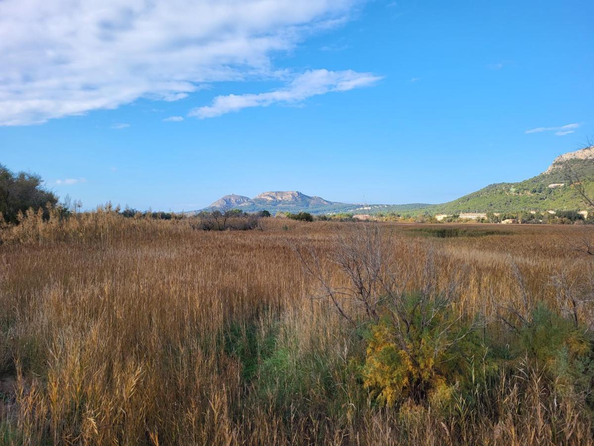 Apartamento Estartit Argonavis L'Estartit Εξωτερικό φωτογραφία